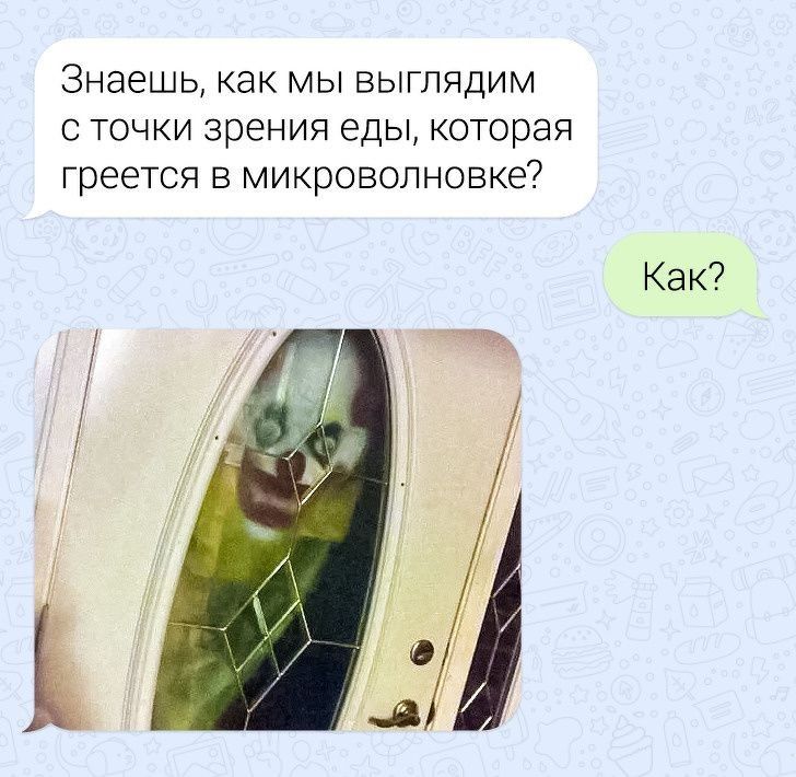 Знаешь как МЫ ВЫГЛЯДИМ С ТОЧКИ зрения еды которая ГРЭЕТСЯ В МИКРОВОЛНОВКЕ Как