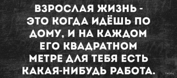 взросмя жизнь это КОГАА ИАЁШЬ по дому и НА КАЖАОМ его КВААРАТНОМ мвтре мя тввя есть КАКАЯ НИБУАЬ РАБОТА