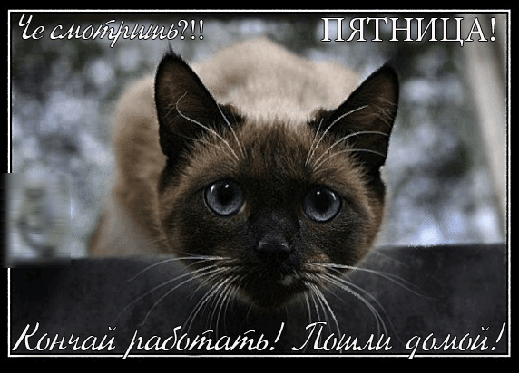 Женам шд0л2ал21Лощи шшй