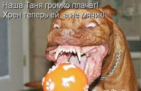 аша аня громйо платёт Хрен перь ей к