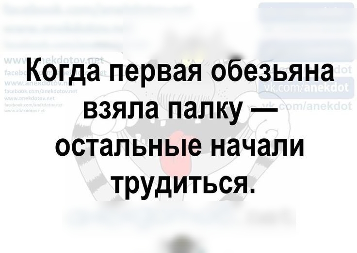 Когда первая обезьяна взяла палку остальные начали трудиться