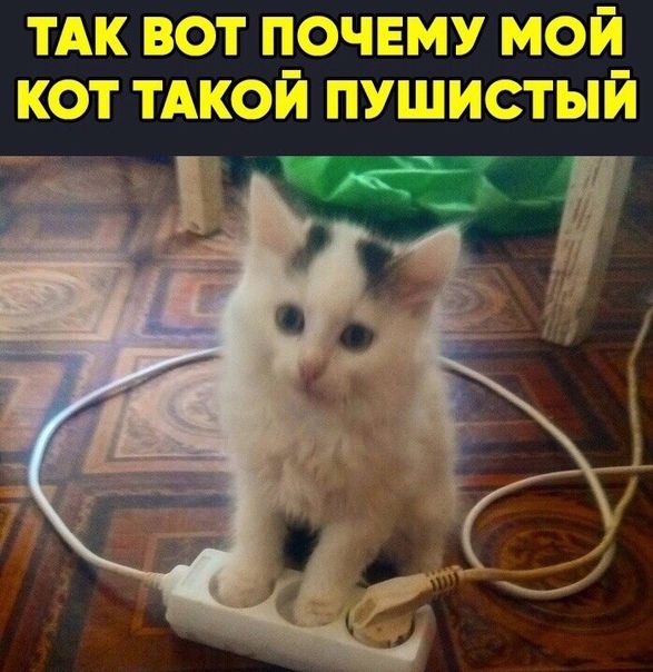 Ак 3Ъ жу тжфэй ЫУШЬЮтЬПЙ