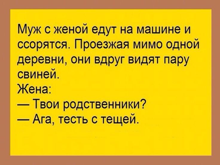 Муж с женой едут на машине и ссорятся Проезжая мимо одной деревни они вдруг видят пару свиней Жена Твои родственники Ага тесть с тещей