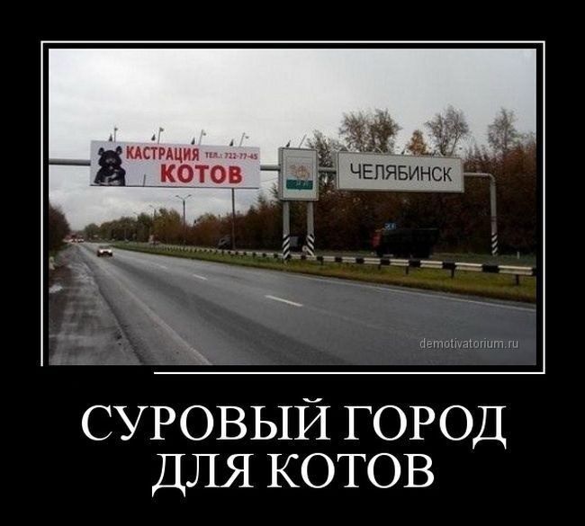 РЩИЯН котов1дчвпявинск СУРОВЫЙ ГОРОД ДЛЯ котов