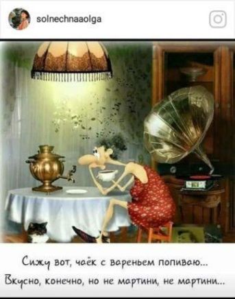 зоіпестчззпша с вы к вд д