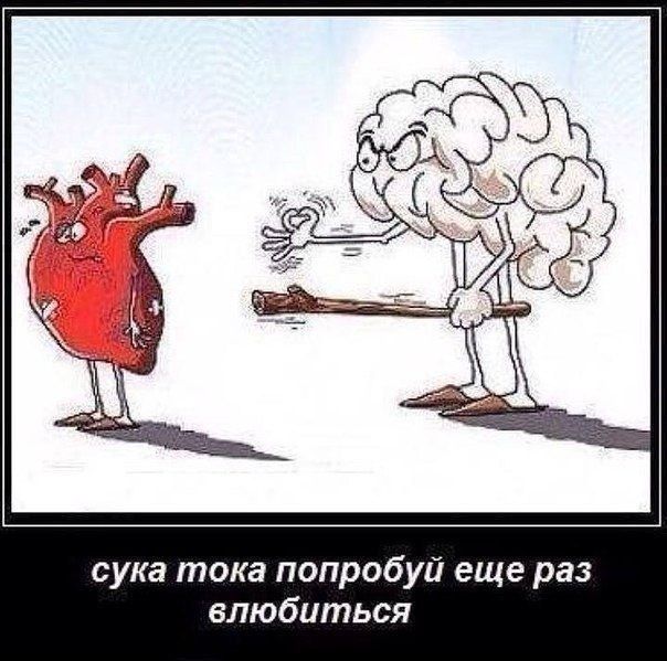 сука тока попробуй еще раз влюбиться