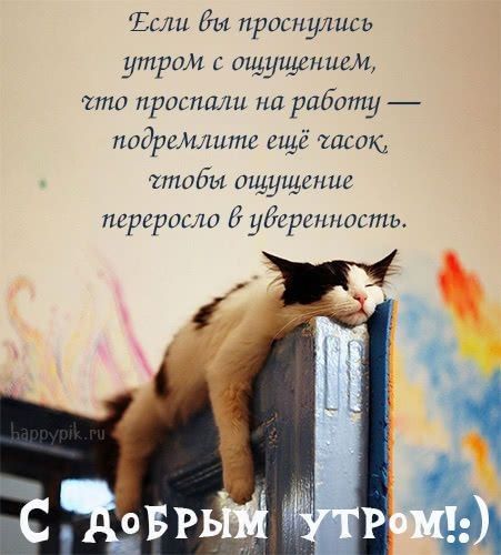 Есш Бы проснулись утром с ощущением што проспали на работу подреМштс ещё часок чтобы ощущение перерогли Идётепитты