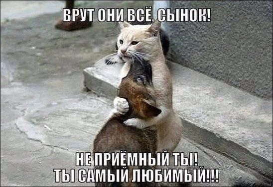 ПЕ ПРИЁМНЫ ТЬ ЁБЛБЛМЫЙ ПЮБИМЬ