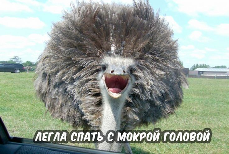 к ЛЕНА Аще мокрой годовой