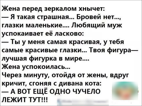 Жена перед зеркалом хнычет Я гакая страшная Бровей нет глазки маленькие Любящий муж успокаивает её ласково Ты у меня самая красивая у тебя самые красивые глазки Твоя фигура лучшая фигурка в мире Жена успокоилась Через минуту отойдя от жены вдруг кричит сгоняя с дивана кота А ВОТ ЕЩЁ ОДНО ЧУЧЕЛО ЛЕЖИТ ТУТ