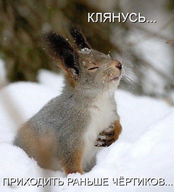 КЛЯНУСЬ