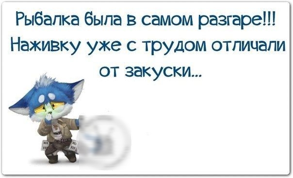 Рыбалка была в самом разгаре Наживку уже с трудом отличали от закуски