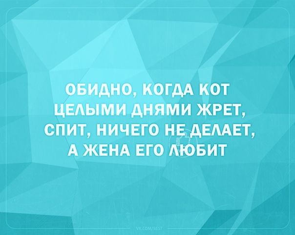 ОБИдНО КОГДА КОТ ЦЕАЫМИ АНЯМИ ЖРЕТ СПИТ НИЧЕГО НЕ АЕААЕТ А ЖЕНА ЕГО АЮБИТ