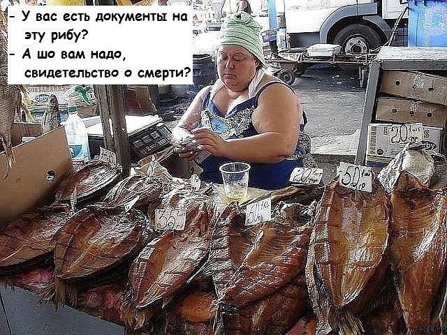 3 У вас есть документы на эту рибу А шо вам надо свидетельство о смерти