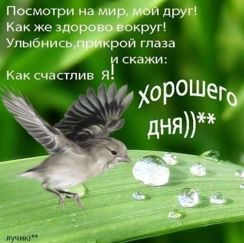 Как же здо круг г скажи Как счастлив Я ХРше