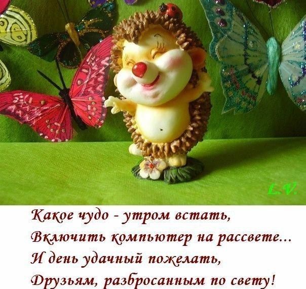 Какре чудо утрам встать Вщыочить крмпьютер на рассвете 51 день удачный пожелать 5ЪЯМ азбосанным 110 свет