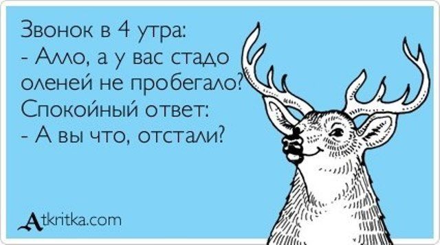 Звонок в 4 утра Амо а у вас стадо ОАеней не пробегахо Спокойный ответ А вы что отстаАи Ашгітккот