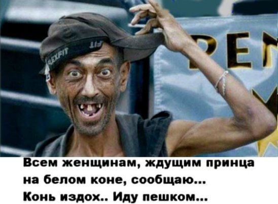 Всем женщинам ждущим принца на белом коне сообщаю Конь издох Иду пешком
