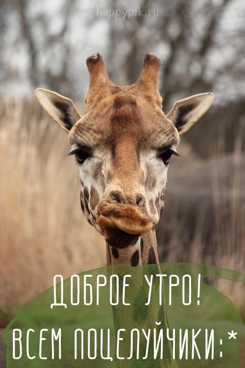 ШПЕ ПРП ВПП ППЦЕЛУЙЧИКИЁ