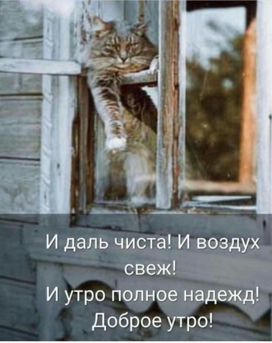 И даль чиста И воздух свеж _ И утро полное надёжд Доброе утро