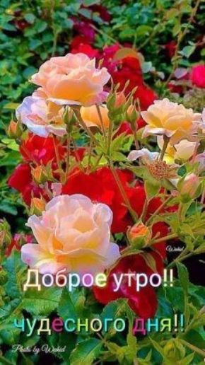 а Ёдудёёнфю дня ускаш