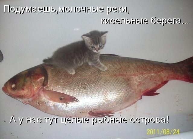 Подумаешьмолочные реки дмг ег 1ьны брег д гу гшг гуг цег пьлэбыоныеоогроза