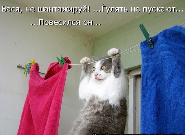 В с не шаггггькируй Гулягь не пускают Лозе сила он