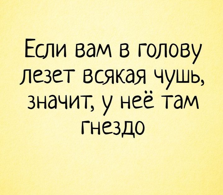 Если вам в голову Лезет всякая чушь значит у неё там гнездо