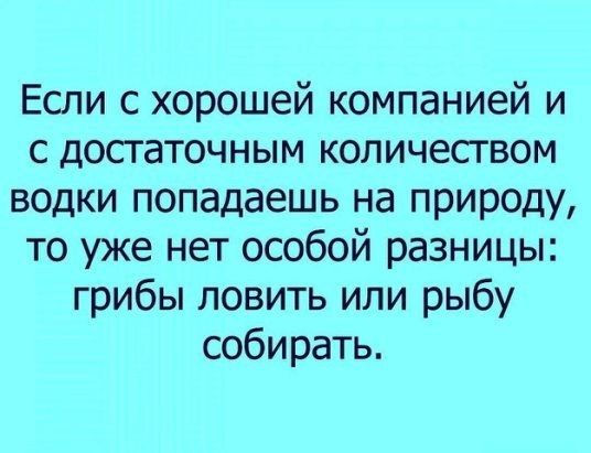Если с хорошей компанией и с достаточным количеством водки попадаешь на природу то уже нет особой разницы грибы ловить или рыбу собирать
