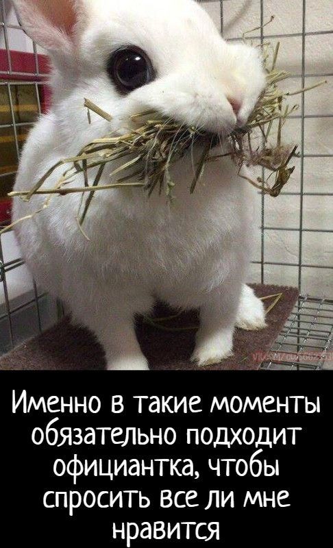 Именно в такие моменты обязательно подходит официантка чтобы спросить все ли мне нравится