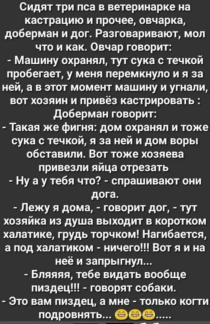 Сидят три пса в ветеринарке на кастрацию и прочее овчарка доберман и дог Разговаривают мол что и как Овчар говорит Машину охранял тут сука с течкой пробегает у меня перемкнуло и я за ней а в этот момент машину и угнали вот хозяин и привёз кастрировать доберман говорит Такая же фигня дом охранял и тоже сука с течкой я за ней и дом воры обставили Вот тоже хозяева привезли яйца отрезать Ну а у тебя ч