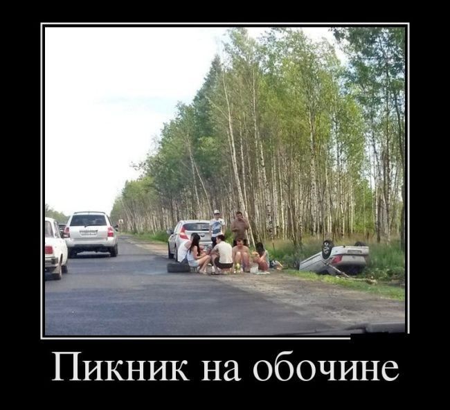 ПИКНИК на обочине
