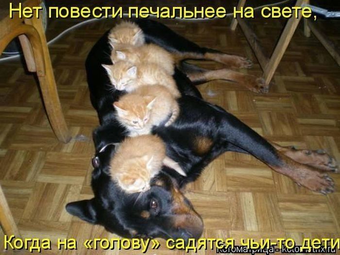 Нейваповестипецапьнеетёбёзёёз