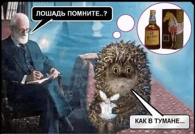 КАК В ТУМАНЕ