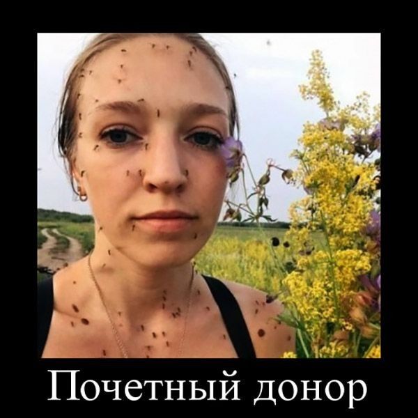 Почетный донор