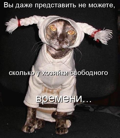 Вы даже представить не можете