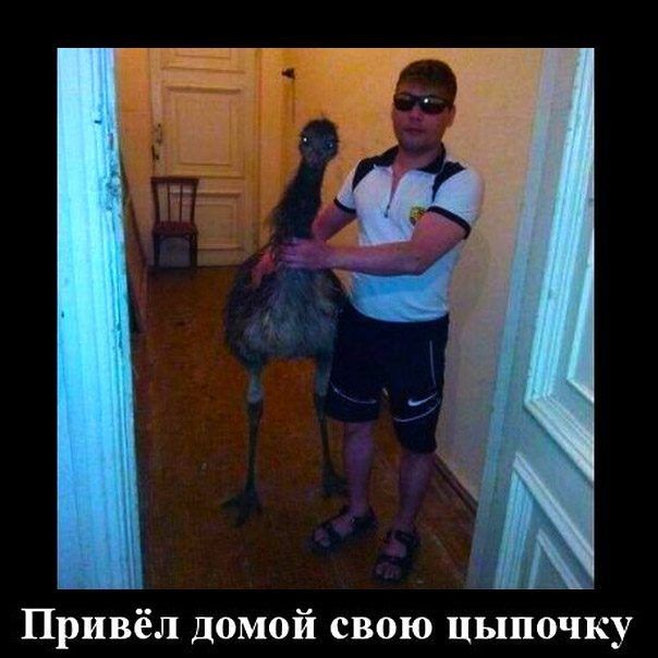 Привёл Домой свою цыпочку