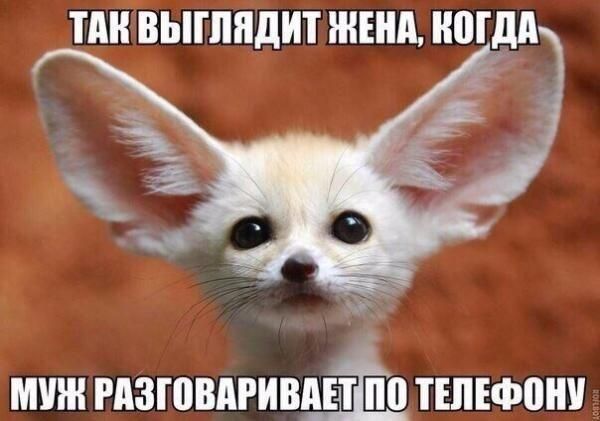 ТМГВЫГПЯДИТ ЖЕНА ЮГдд чё мин гдзговдгивдъЁЁд тшъфони