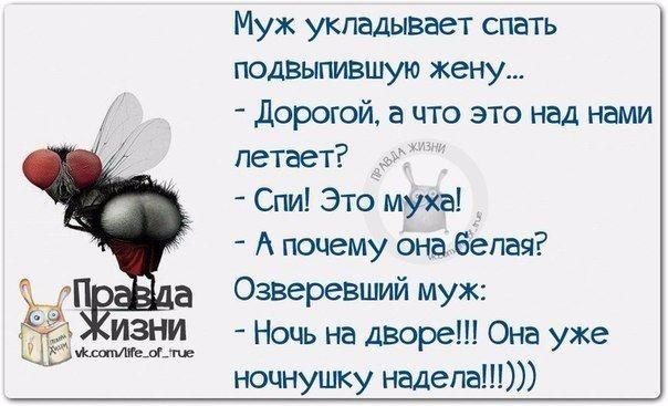Муж укладывает спать подвыпившую жену дорогой а что это над нами летает _ Спи Это муха _ А почему она белая Озвгревший муж Ночь на Дворе Она уже ночнуипу неделе