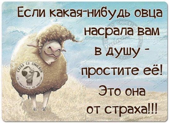 тЕспи каЁаЧшиб дЬ ВЪ _ В дМЬЧУ вростите её Это она от страха 9
