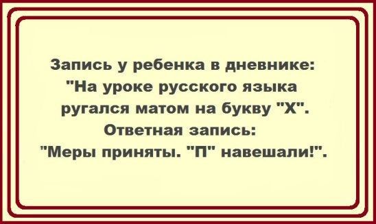 Запись у ребенка в дневнике На уроке русского языка ругался матом на букву Х Ответная запись Меры приняты П навешали