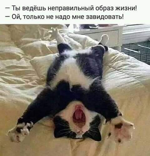Ты ведешь неправильный образ жизни Ой только не надо мне завидовать 7 в _ ___