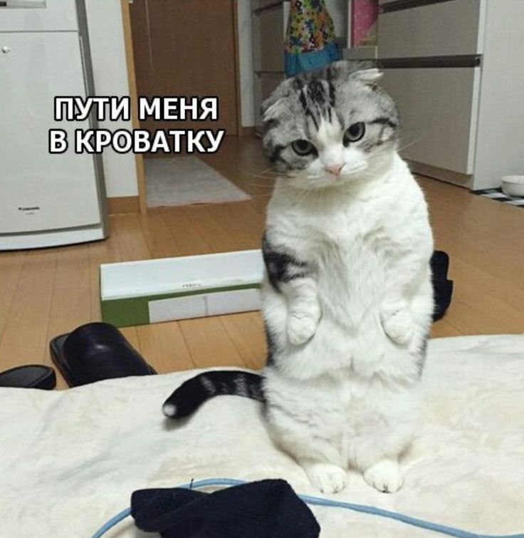 ПУЩ МЕНЯ КР_ВАТКУ зиС