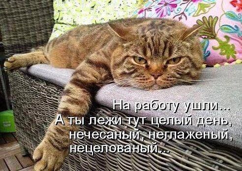 аботу ушли _ и ый п