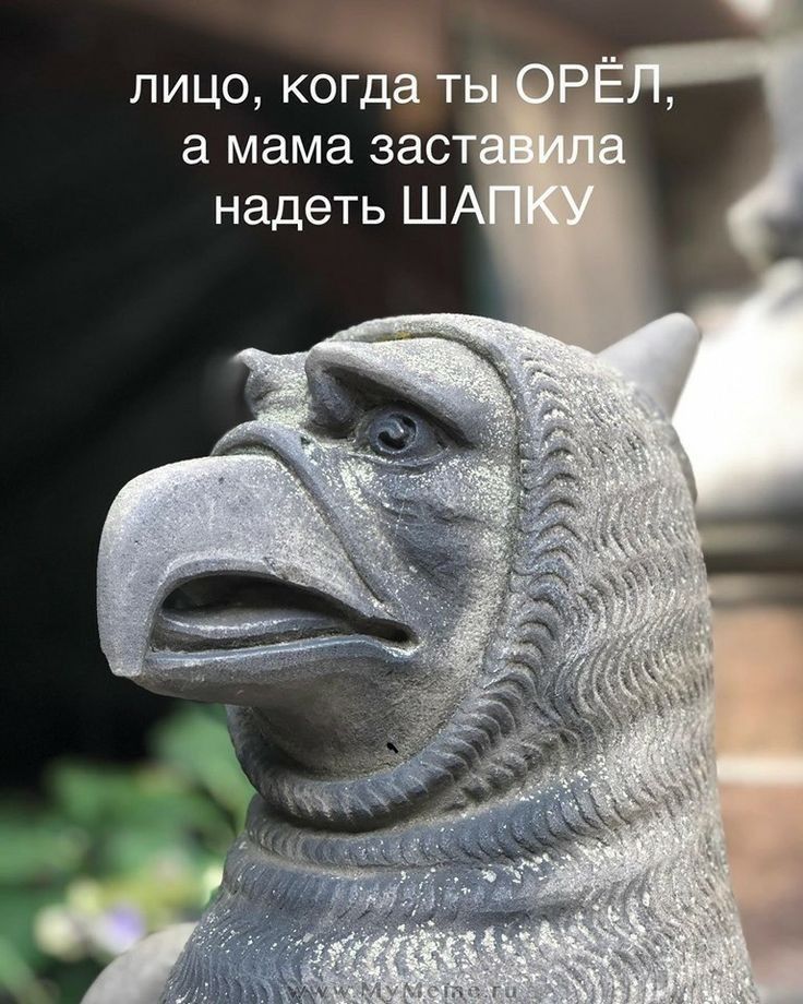 лицо когда та а мама зас