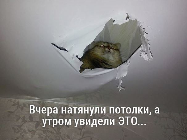 дётянулц потолки а утром увидели ЭТО