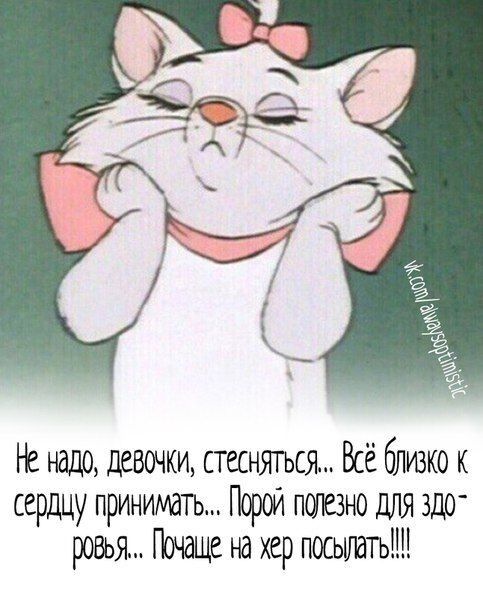 Не надо девочки стеснячъся Всё близко к сердцу принимать Порой повне для здо ровья Почаще на хер посылать
