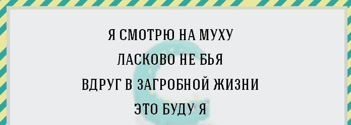 Я СМОТРЮ НА МУХУ ПАСКОВО НЕ БЬЯ ВДРУГ В ЗАГРОБНОЙ ЖИЗНИ ЭТО БУДУ Я