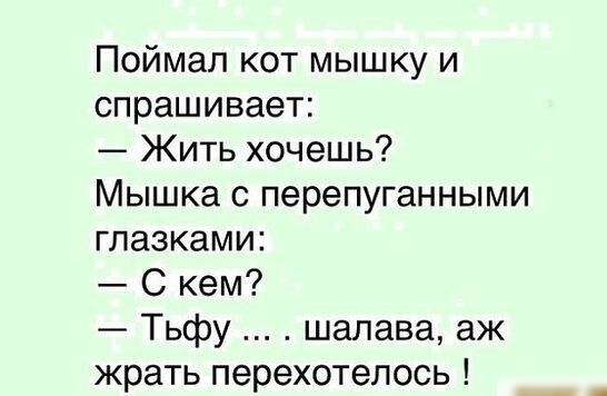 Поймал кот мышку и спрашивает Жить хочешь Мышка с перепуганными глазками С кем Тьфу шалава аж жрать перехотепось