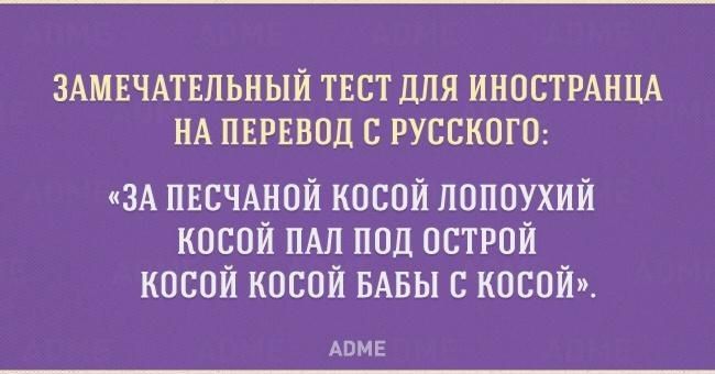 ЗАМЕЧАТЕЛЬНЫЙ ТЕСТ ДЛЯ ИНОСТРАНЦА НА ПЕРЕВОД С РУССКОГО ЗА ПЕСЧАНОЙ косой лопоухий косой ПАЛ под острой косой косой БАБЫ косой АВМЕ
